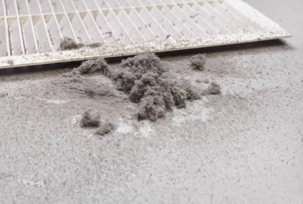 Best Professional Duct Cleaning Services  in Bolindale, OH