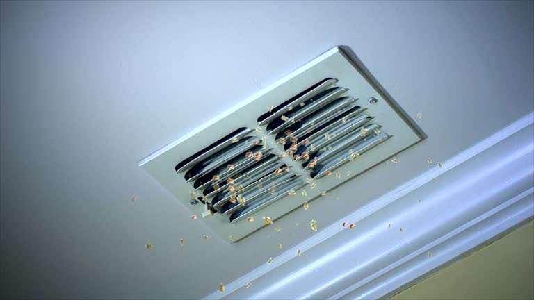 Best Affordable Duct Cleaning Services  in Bolindale, OH