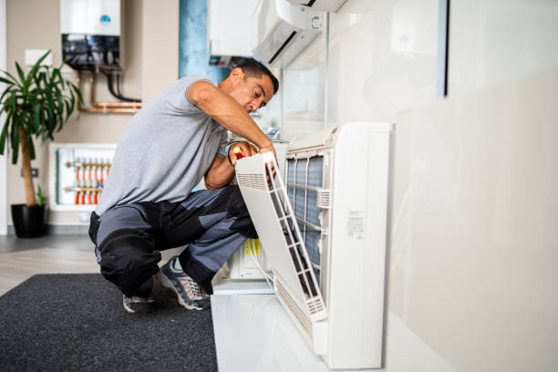 Best Air Duct Cleaning Near Me  in Bolindale, OH