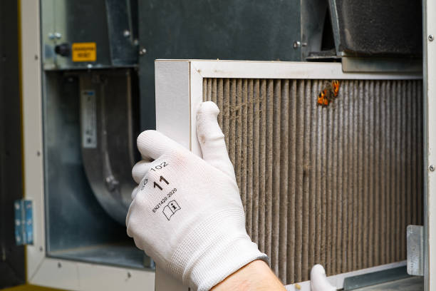 Best Professional Duct Cleaning Services  in Bolindale, OH