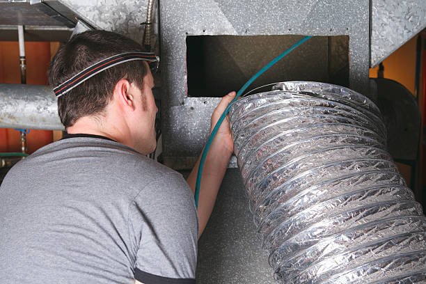Best Air Duct Sanitizing Services  in Bolindale, OH