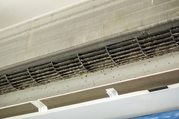 Best HVAC Duct Inspection Services  in Bolindale, OH